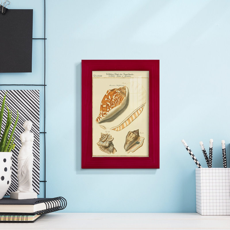 Coquilles de martini antique III sur papier, Rouge, H 9 po x l 7 po x P 1 po