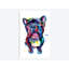 «Frenchie», impression sur toile-73437034-29435161-73437035