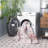 Abigal Performance Machine Washable Oriental Rug-1637297693