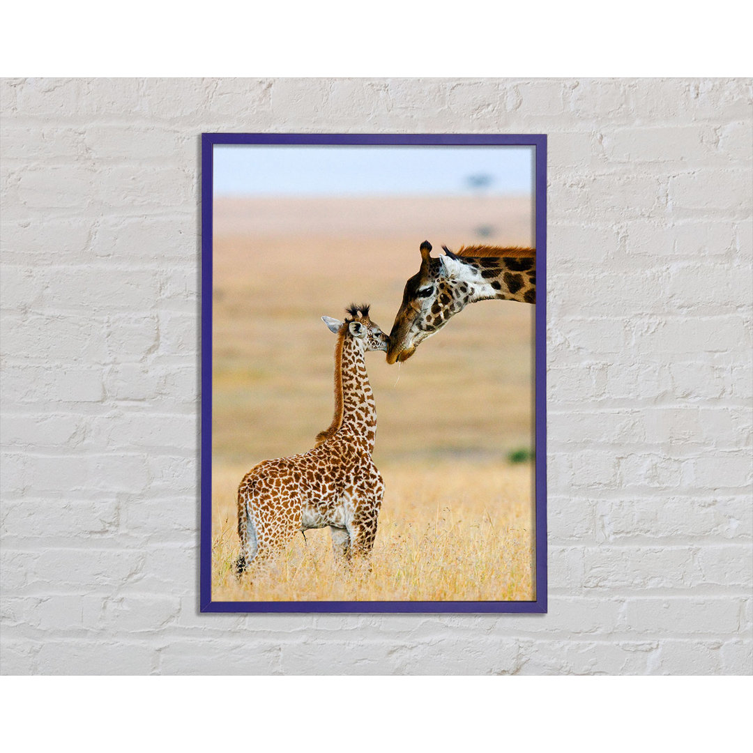 Baby Giraffe Liebe - Druck