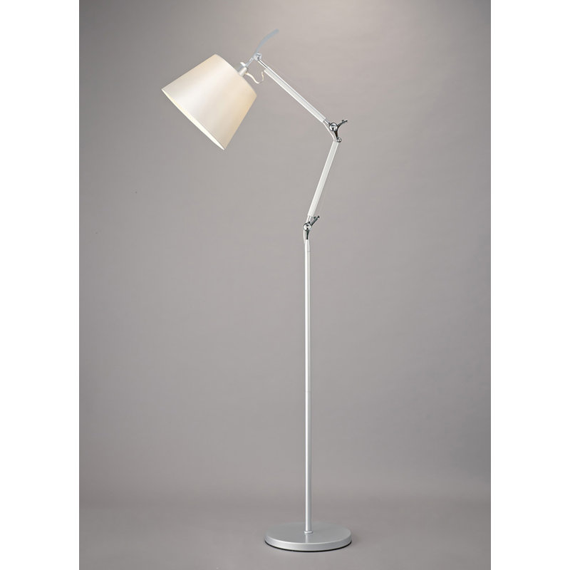 Dankfried 165cm Silver Swing Arm Floor Lamp