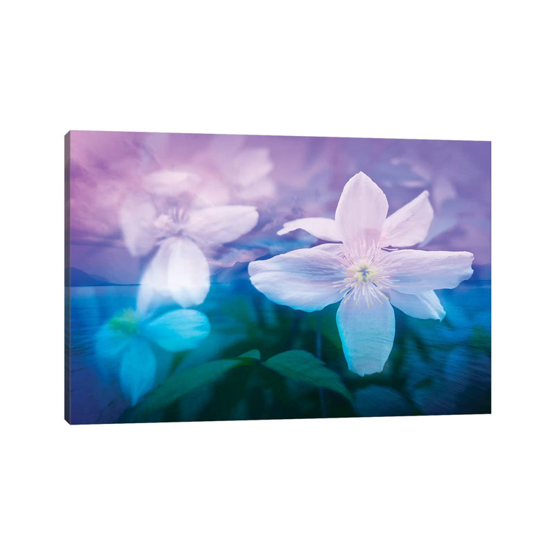 Romantic Garden by Beli - Wrapped Canvas Print, 20.32 cm H x 30.48 cm W
