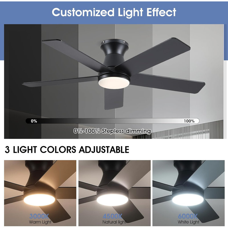 46" 5-blade Indoor Flush mount Ceiling Fans With Lights And Remote/App, Black