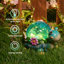 Tortues de jardin Nathoo
