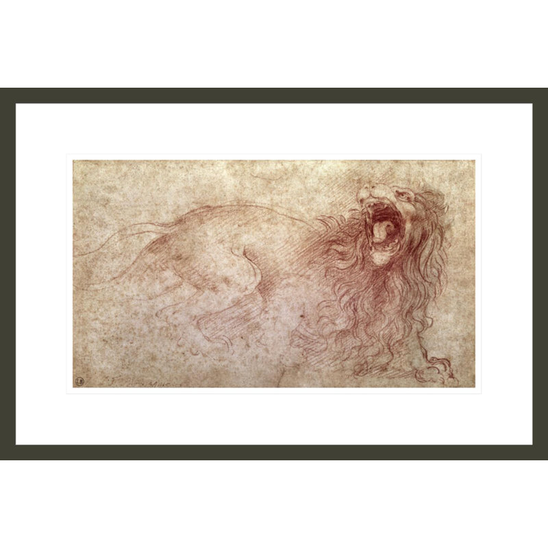 Esquisse d'un lion rugissant (craie rouge sur papier) par Leonardo Da Vinci, impression giclée encadrée
