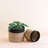 Cylinder Tabletop Basket, nested set of 2-1534868506