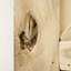Foresta Solid Barn Door Prefinished-1523623812-1517968371