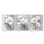Étude florale série CXLV III -Set de 3 estampes giclées encadrées -Prêt à-777083188-777083190