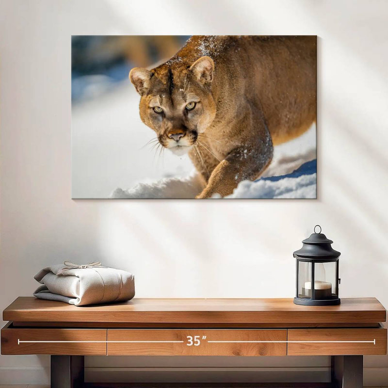 Cougar Brampt dans la neige, H 16 po x l 24 po