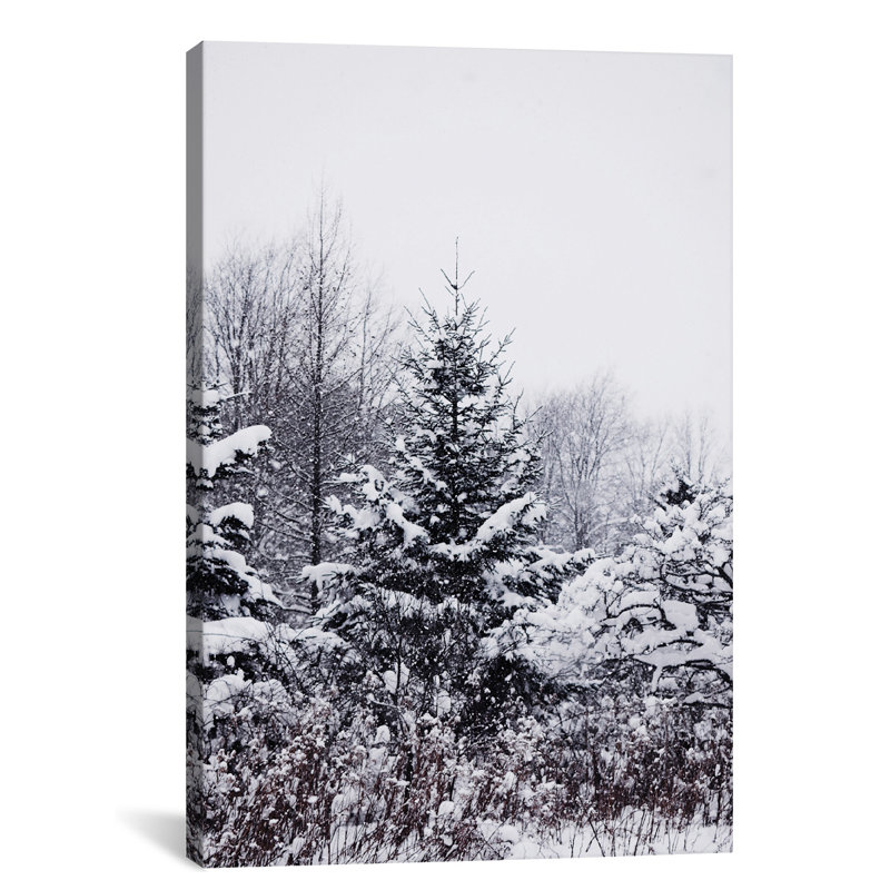 « winter pins », reproduction de photo, Toile, H 18 po x l 12 po x P 1,5 po
