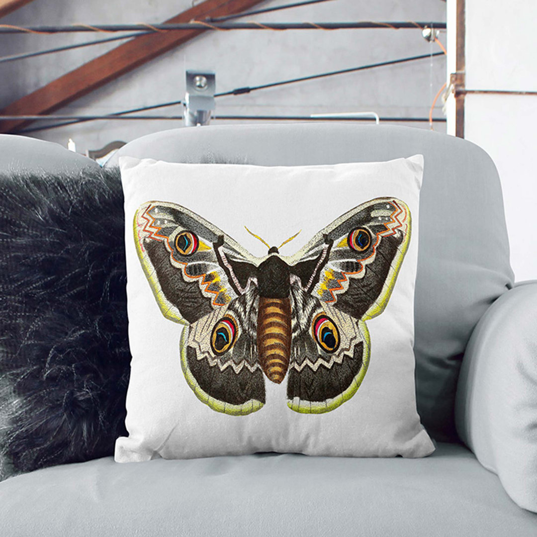 Great Peacock Moth by George Shaw Cushion with Filling