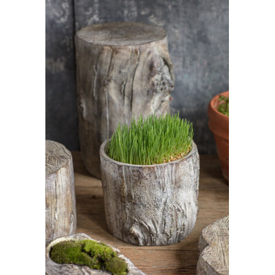 Caines Pot Planter