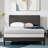 Upholstered Metal Standard Bed-69585330