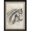 Cheval étalon - Peinture sur toile encadrée-86450452