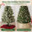 Plastic Tree Collar-137655580