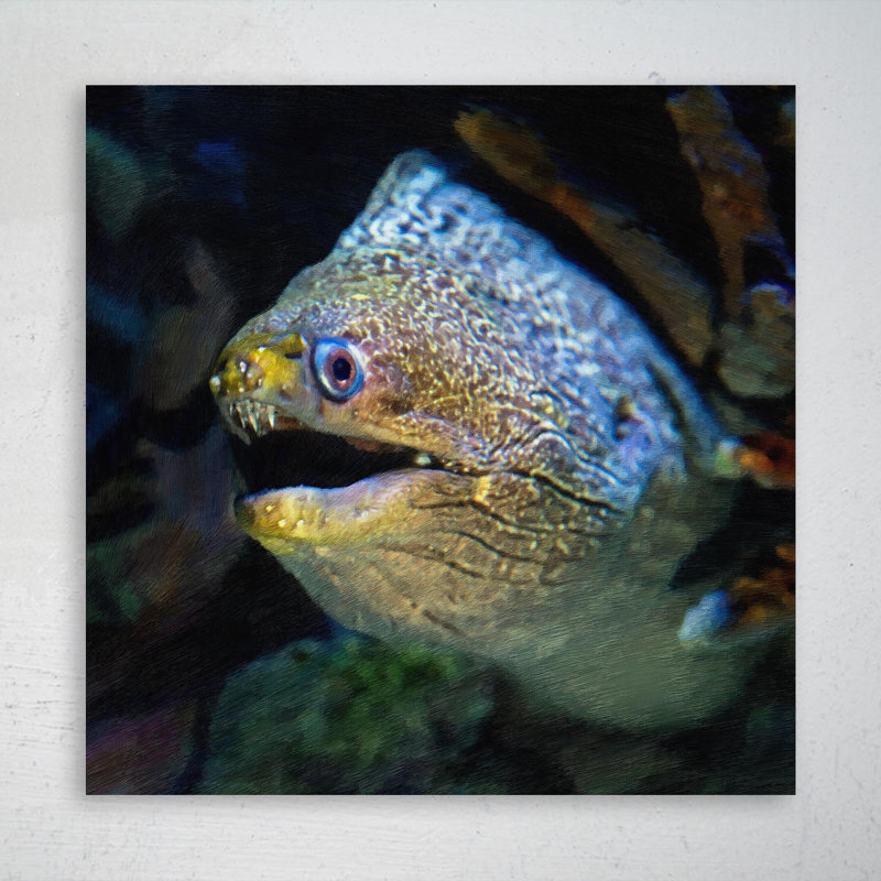 " An Ugly Fish With Mouth Open " Painting Print, 16" H x 16" W