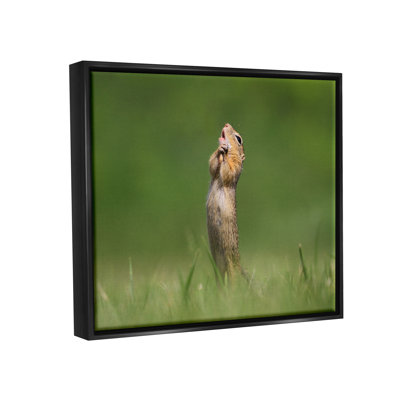 «Ba-403-Floater O Sole Mio Funny Animal» par Roland Kranitz, reproduction d'art sur toile