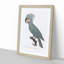 A Palm Cockatoo by F. Levaillant - Single Picture Frame Painting-55453389-55453390
