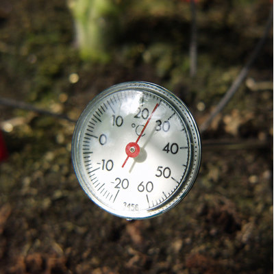 Thermometer Shoshana