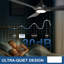 Ceiling Fan with LED Lights