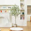 Arbre d'eucalyptus artificiel Adcock-1436333725-1417930759