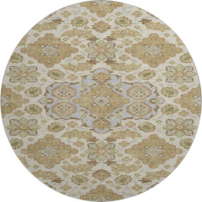 Premium Machine Washable Xamiera AMF1853 Global Rug