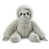 Gray Sloth