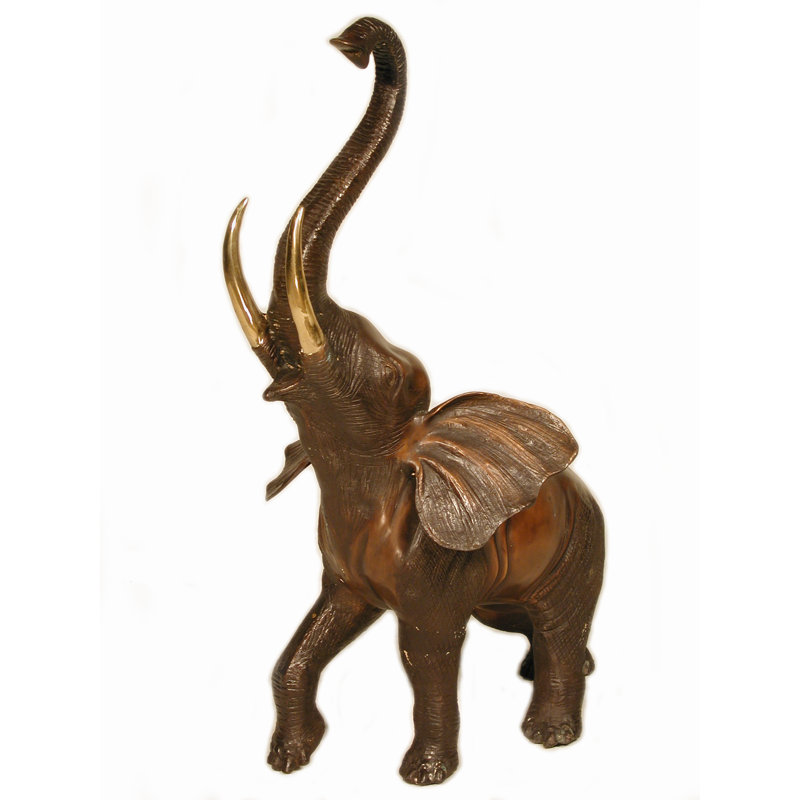 ÉLÉPHANT 25 PO