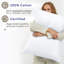 Ensemble de draps en percale 100% coton lavé - comprend 1 drap plat, 1 drap-housse et 2 taies d'oreiller-129479920-129479921