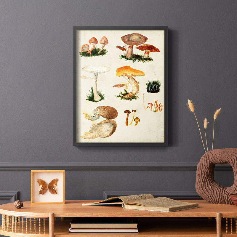 «Mushroom Species IV», reproduction encadrée - bois massif, Noir, H 14 po x l 11 po