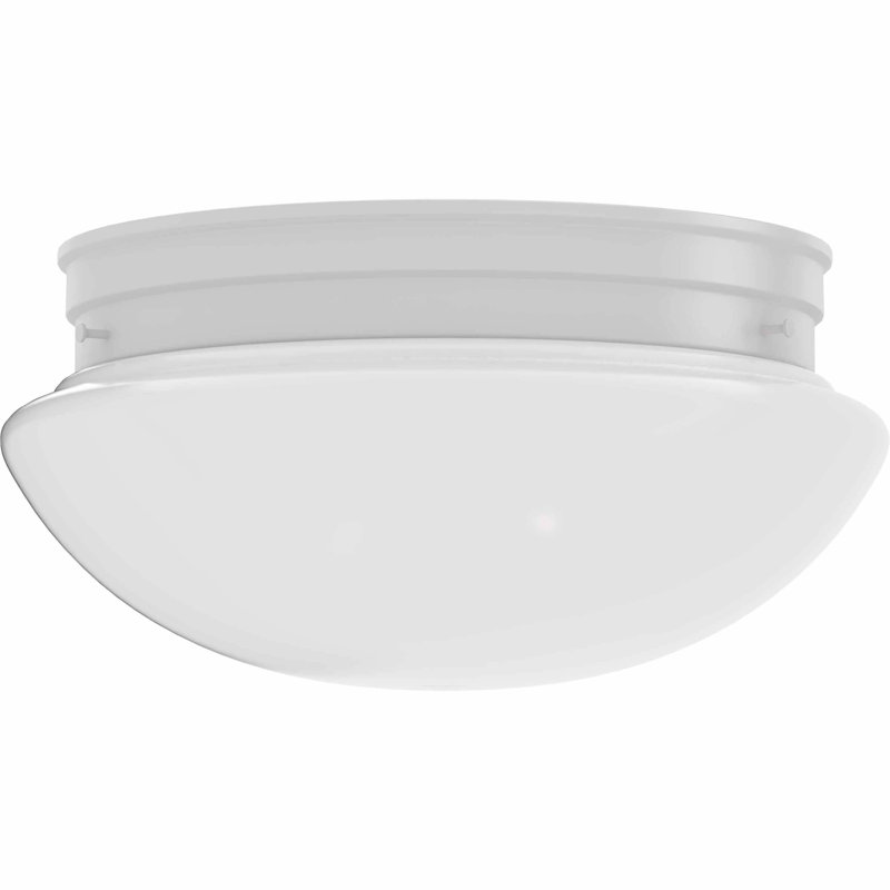 Delphin 2-Light 11.5"W Indoor White Flush Mount with White Glass
