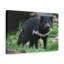 Wall Art on Canvas-291418941