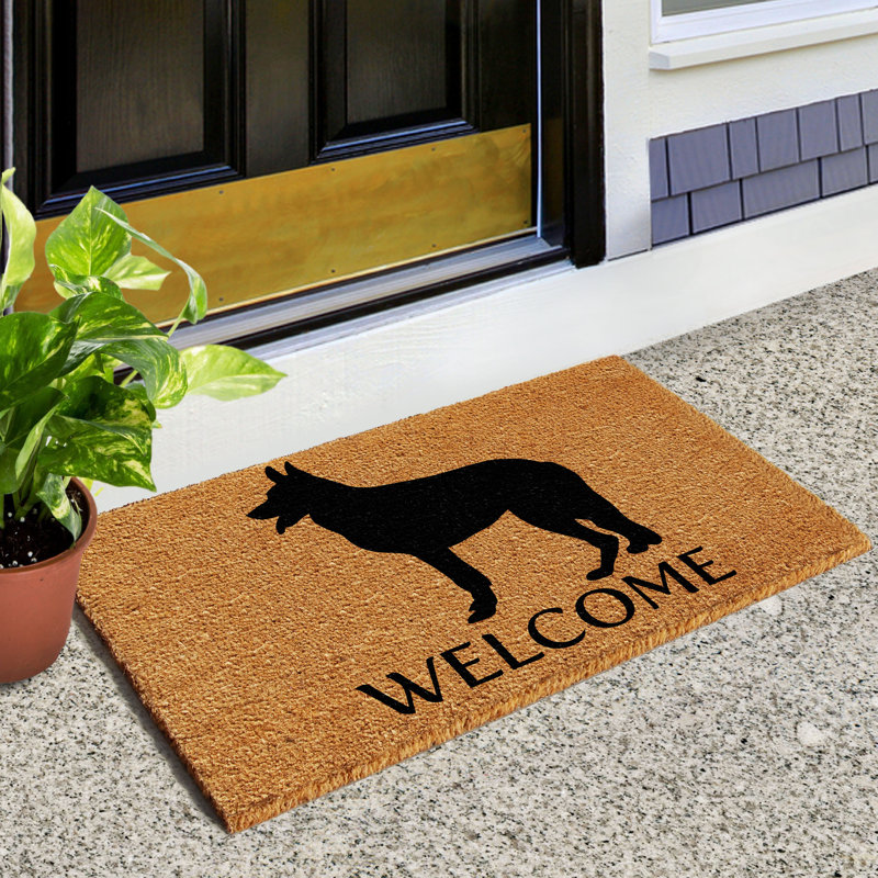 Regner Non-Slip Outdoor Doormat, 2' x 3'