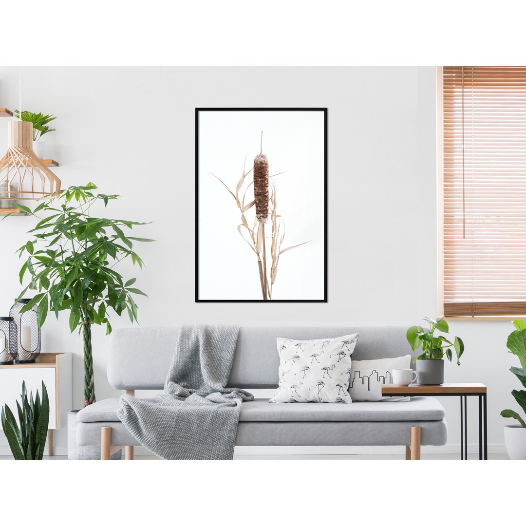 Gerahmtes Wandbild Typha