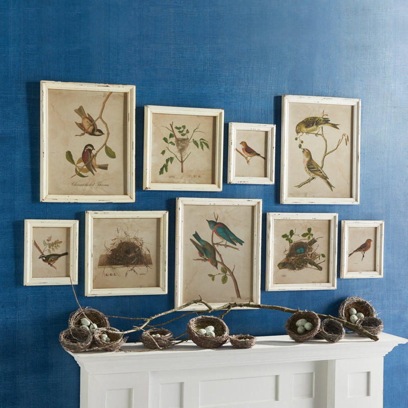 Ensemble d'oiseaux et d'oiseaux nicheurs, ensemble de 9