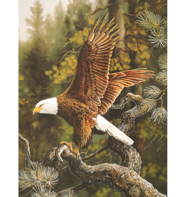 Eagle Perch, 48" H x 36" W