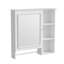 Armoire à miroir murale moderne-848902821