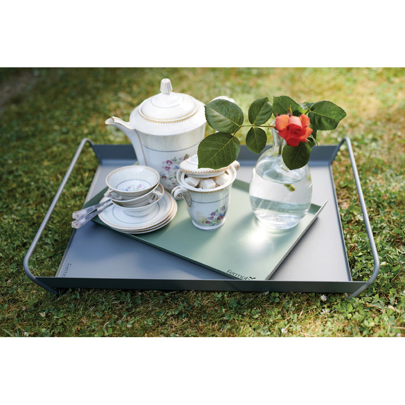 Alto Stainless Steel Decorative Tray, 2" H x 14" W x 9" D, Cactus