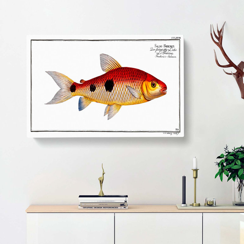 Frederics Salmon Fish by M.E. Bloch - Wrapped Canvas, 40cm H x 60cm W x 3cm D