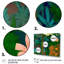 Floraison dans la jungle florissante - Floraison dans la jungle florissante - reproduction d'art sur toile 3 pièces-922297864-922297870