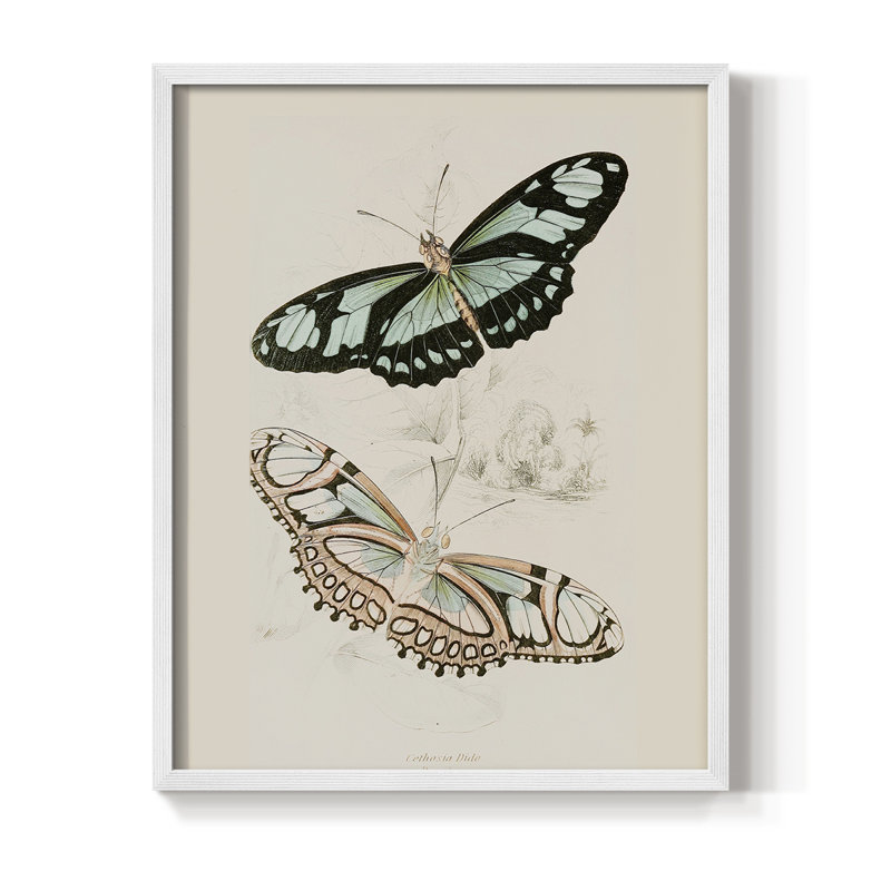 «Vintage Animal Print», reproduction encadrée en L - bois massif, H 11 po x l 9 po, Blanc