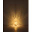 1 - Light Gold LED Pendant