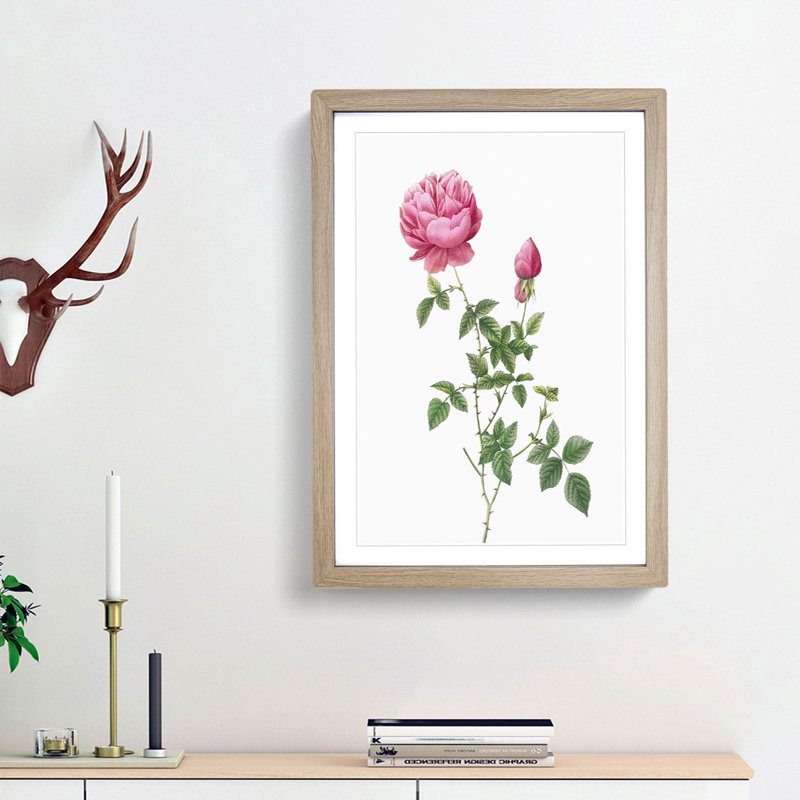 Autumn China Rose in Pink by Pierre-Joseph Redoute - Framed Print, 45cm H x 33cm W x 2cm D, Oak Framed