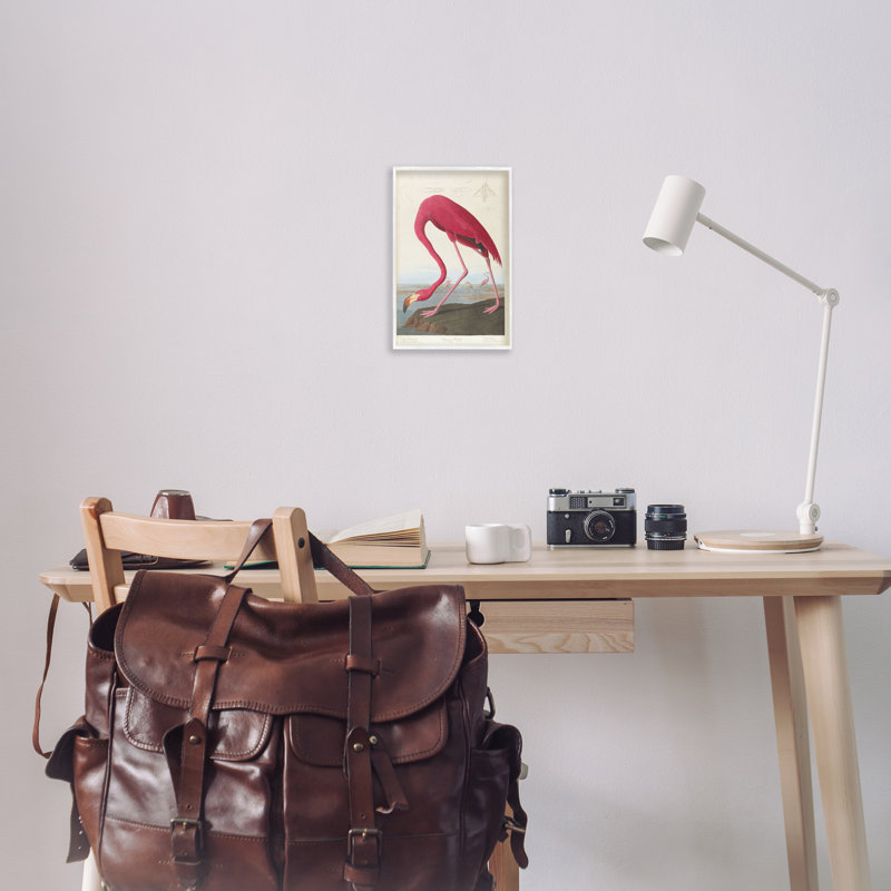 Classic American Flamingo White Framed Giclee Art, 12 x 18