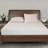 Maguire Polyester Plush Pillow-409754544