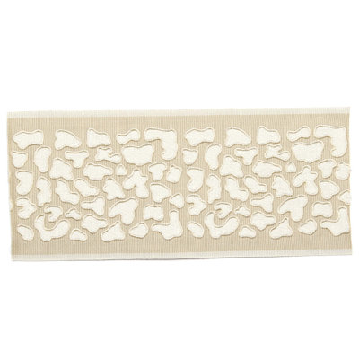 Tissu osseux guépard