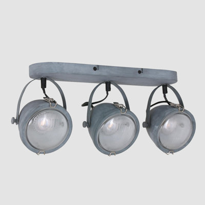 Roark Ceiling Spotlight