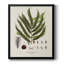 Toile encadrée de qualité supérieure Botanical Society Ferns II - prête à être accrochée-1365227731-1365227730