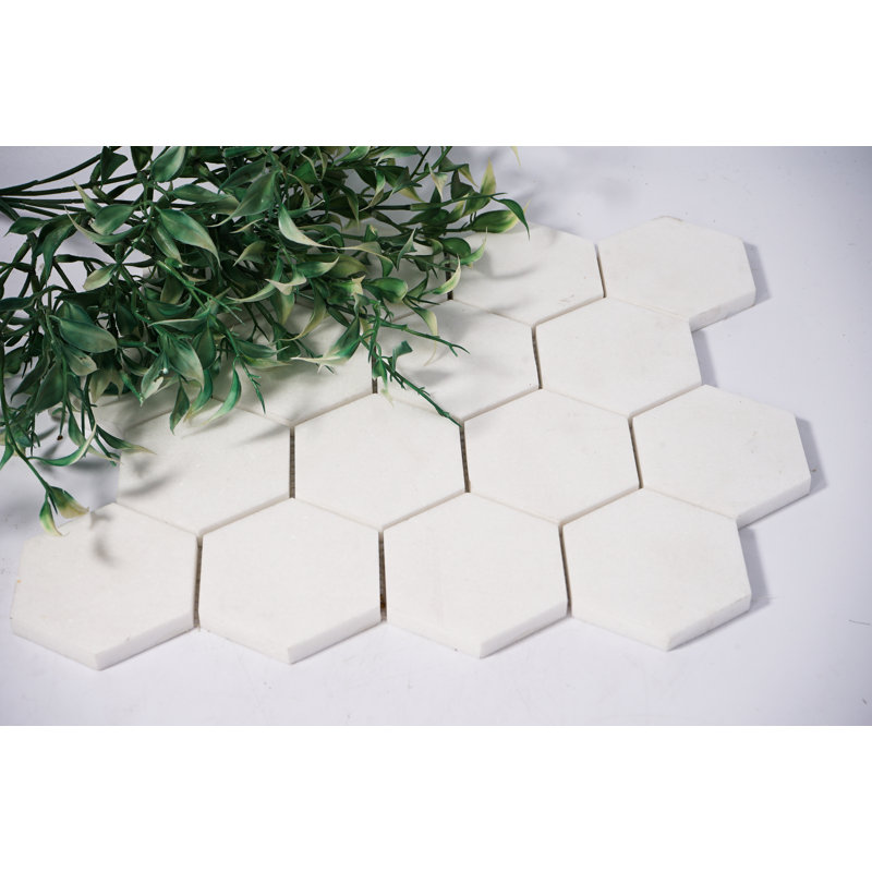 Carreau de mosaïque en pierre naturelle 12 po x 12 po Thassos