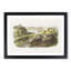 White-Footed Mice by J.W. Audubon - Picture Frame Painting Print-55612263-55612269